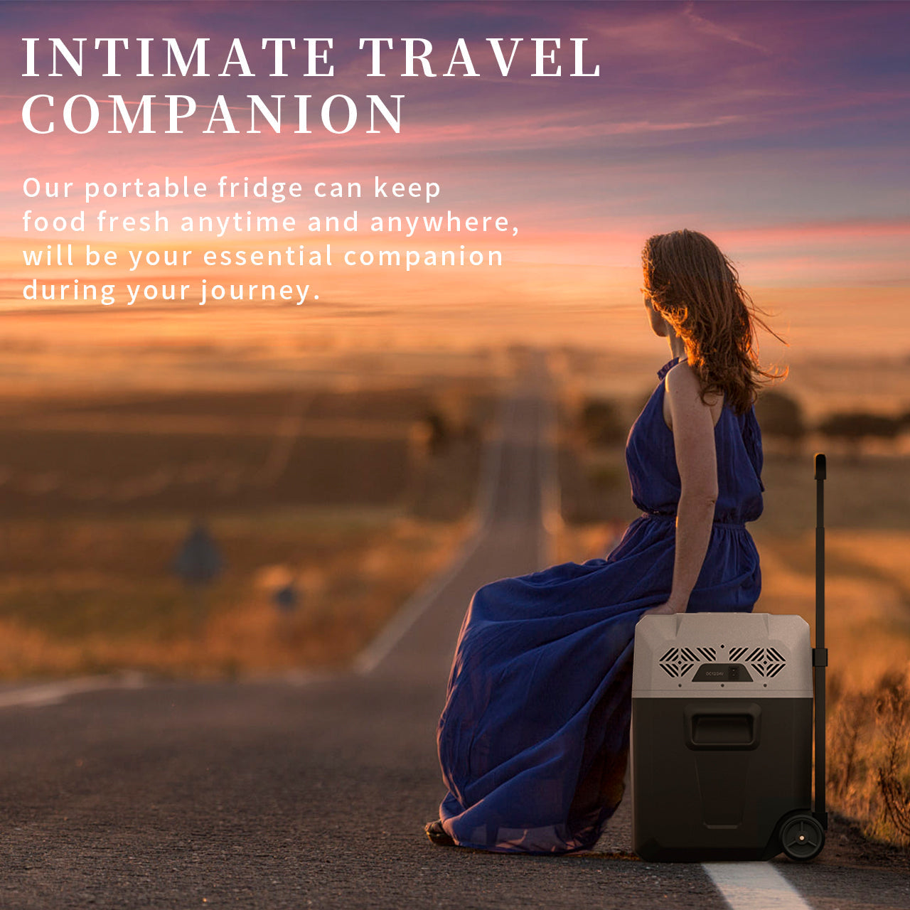 Alpicool CX30 29Qt Car Cooler with Pull Handle & Wheels - Compressor, Quiet, Bluetooth